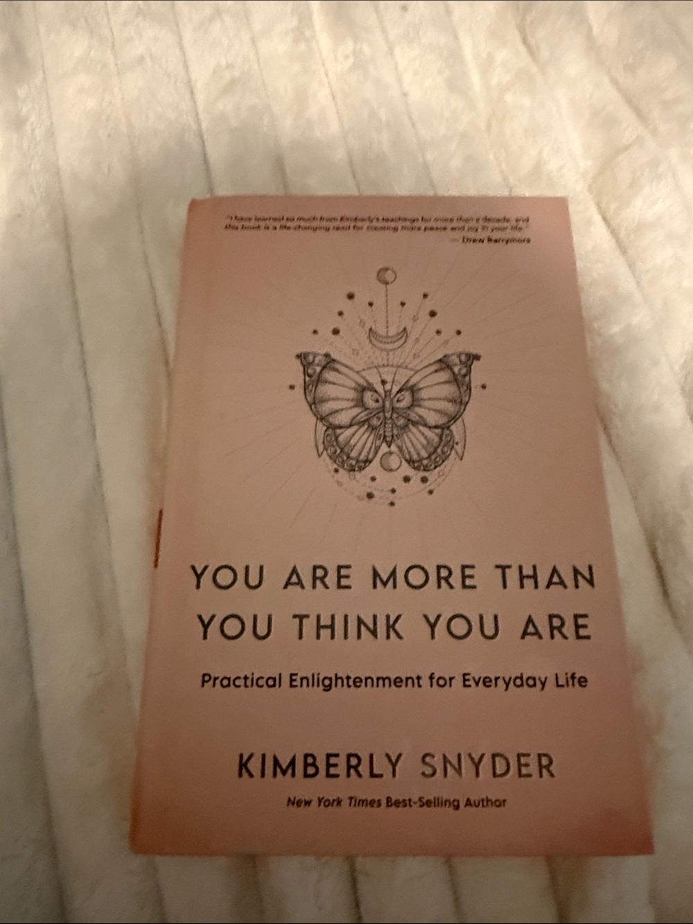 You Are More Than You Think You Are by Kimberly Snyder - Pink Cover